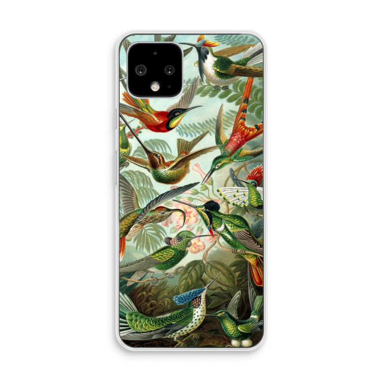 Haeckel Trochilidae: Pixel 4 Transparant Hoesje
