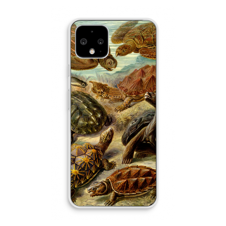 Haeckel Chelonia: Pixel 4 Transparant Hoesje