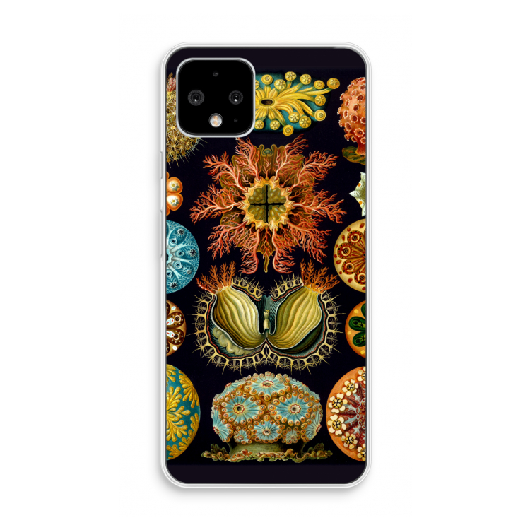 Haeckel Ascidiae: Pixel 4 Transparant Hoesje
