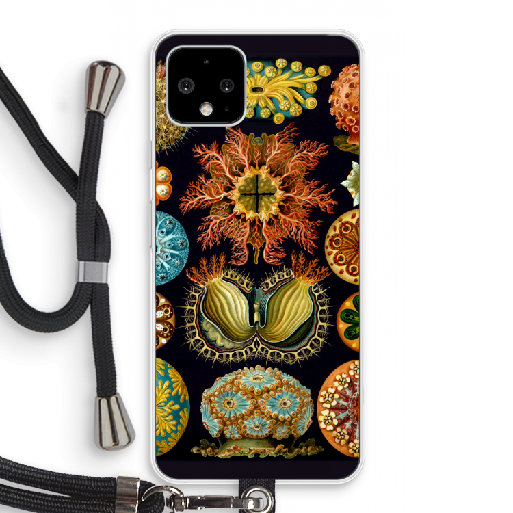 Haeckel Ascidiae: Pixel 4 Transparant Hoesje met koord