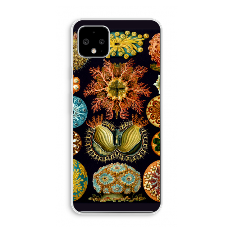 Haeckel Ascidiae: Pixel 4 XL Transparant Hoesje