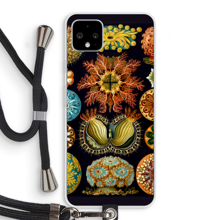 Haeckel Ascidiae: Pixel 4 XL Transparant Hoesje met koord