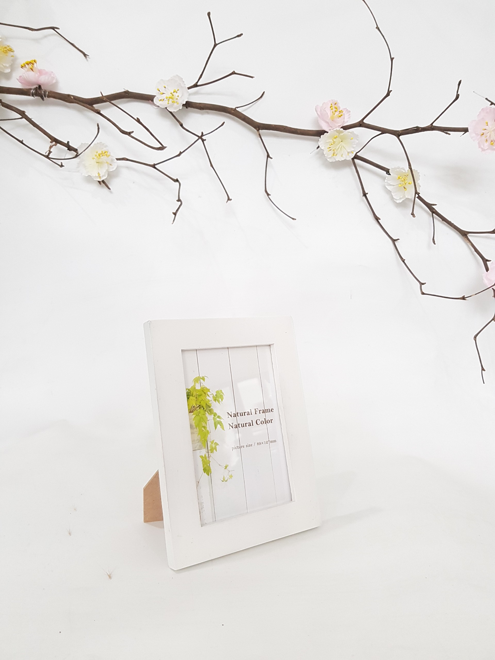 Khung hình để bàn 12 x 8