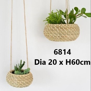 Giỏ cói trồng cây