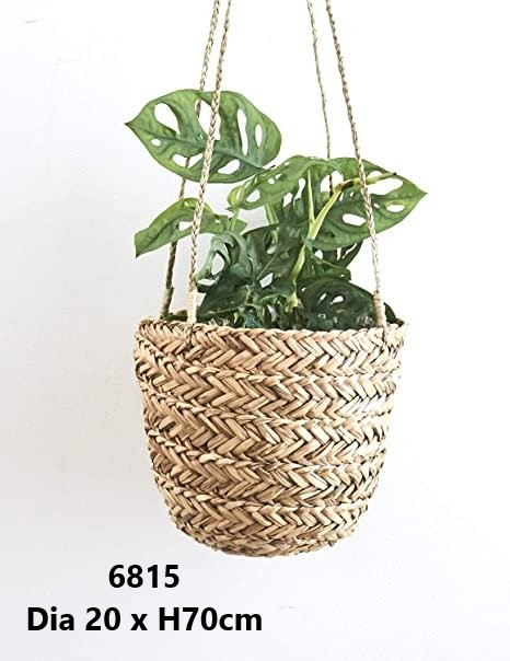 Giỏ cói trồng cây