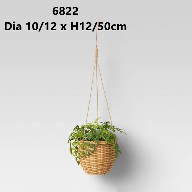 Giỏ cói trồng cây