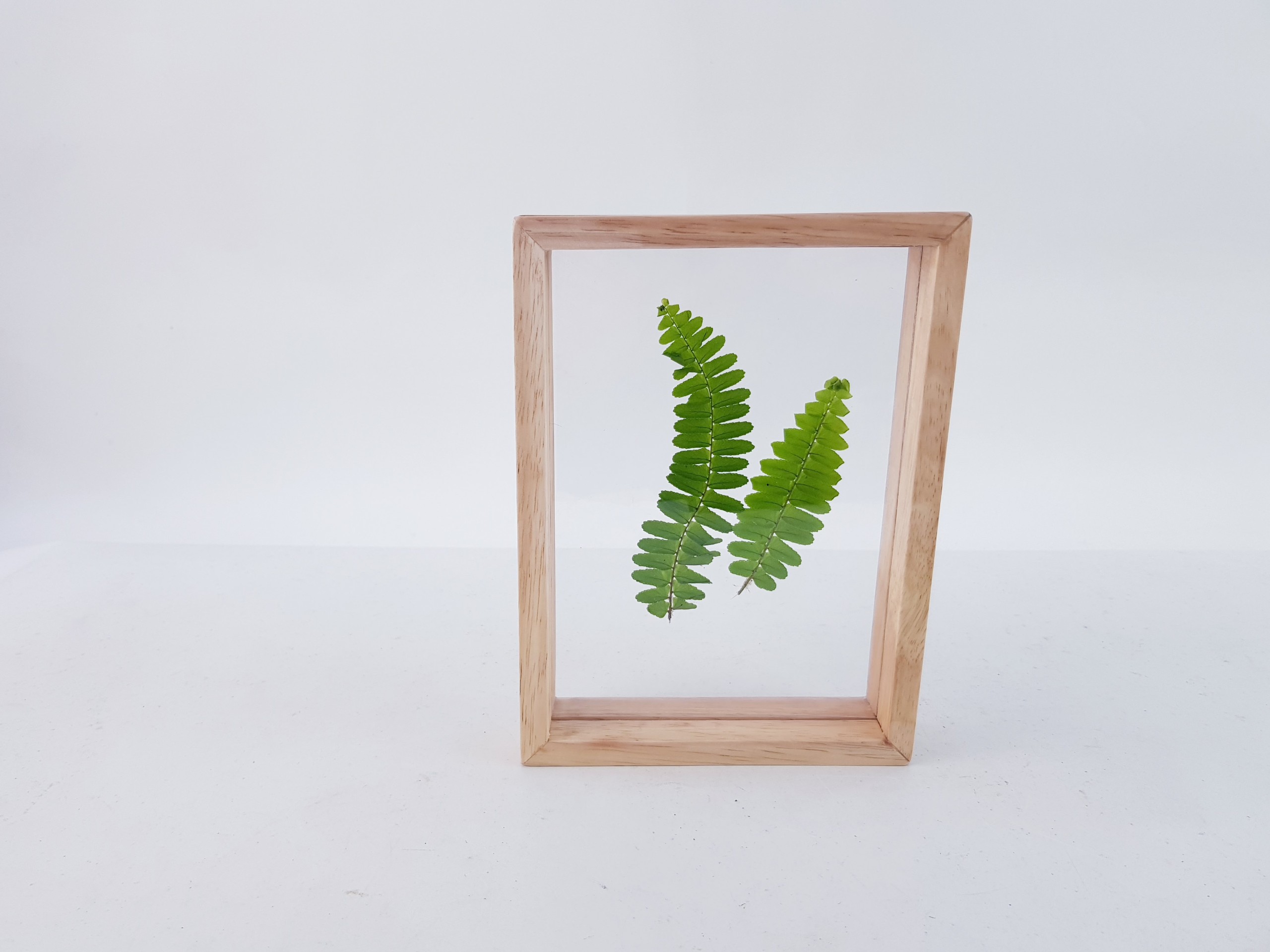 Khung Ảnh Lá Nhỏ