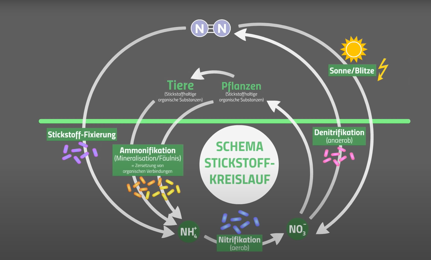 Ökosystem Fließgewässer – Buffl, image size:1721x1040