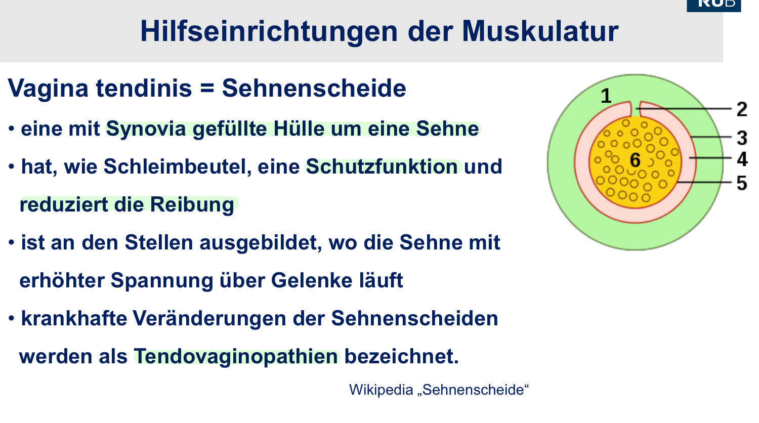 BeFlex® Herbizid | FMC Agricultural Solutions Deutschland, image size:1500x836