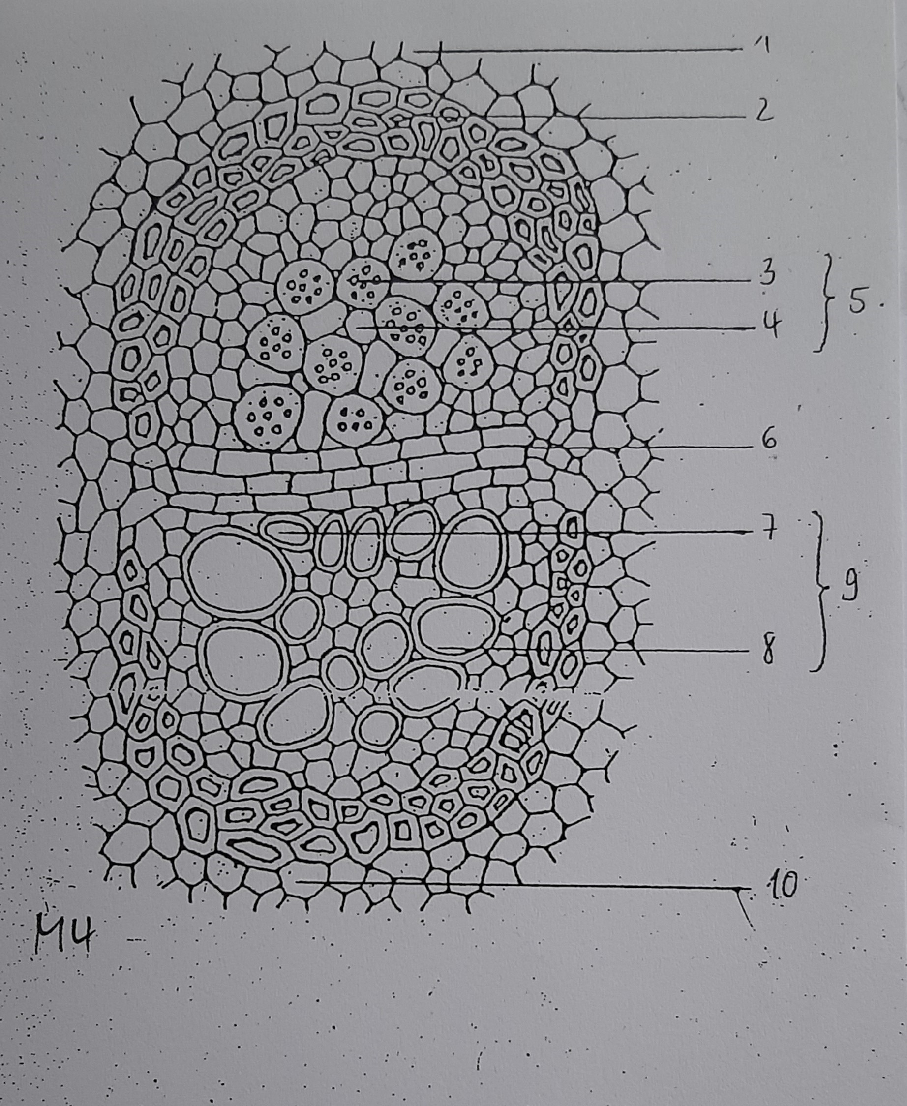 Klausurfragen – Buffl, image size:1844x2249