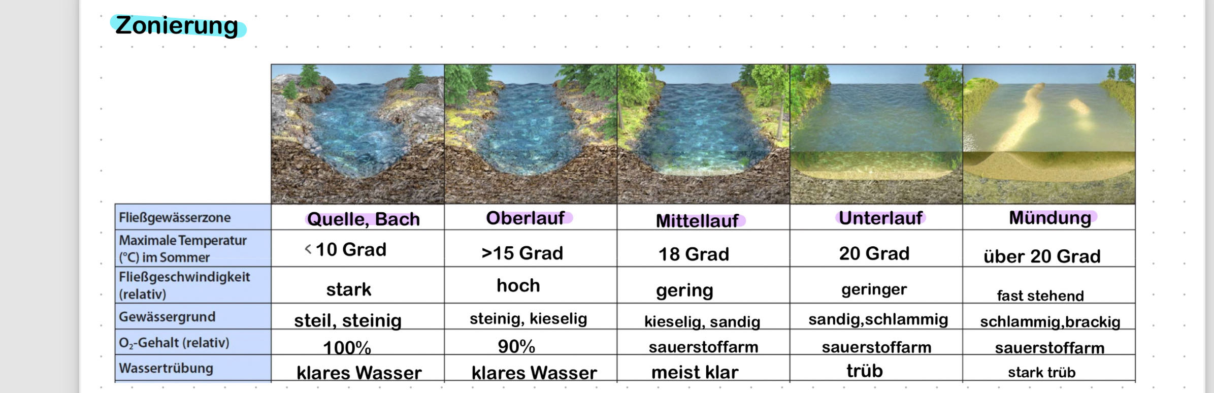 Kapitel 02.00: Das Pökelmolekül - Earthworm Express, image size:2391x774