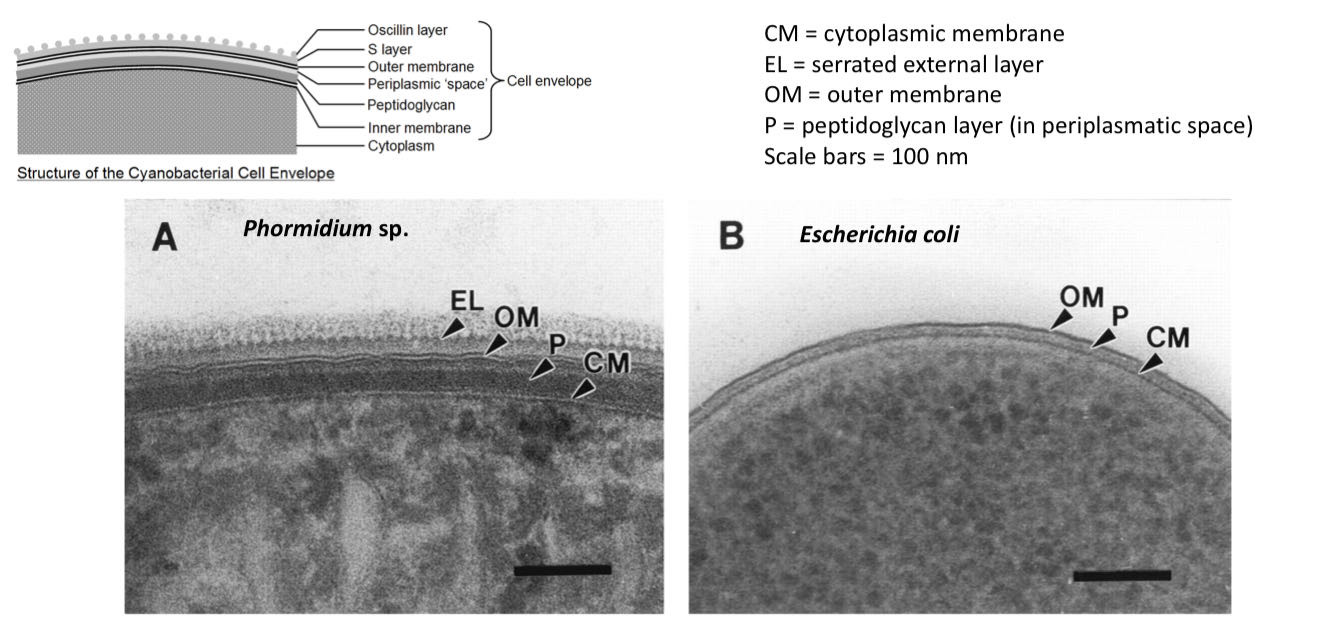 Holger Rohlfs (@holger_rohlfs) • Instagram photos and videos, image size:1325x625