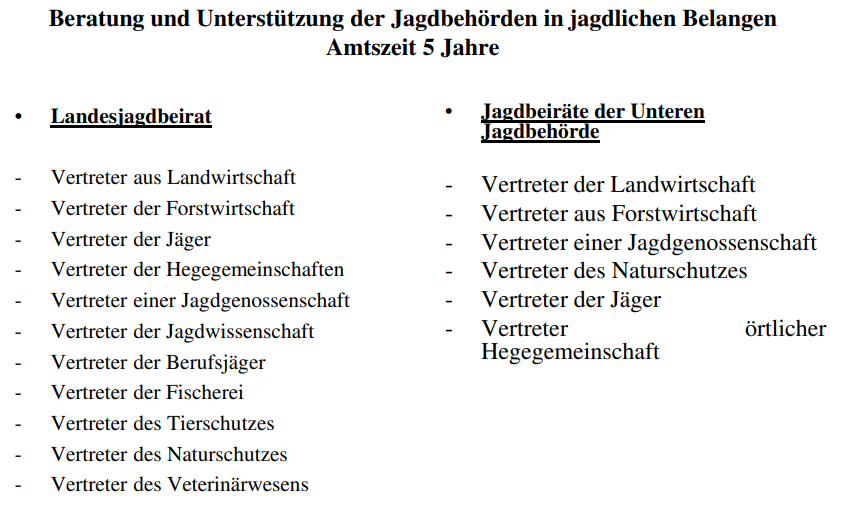 Jagdrecht  Buffl