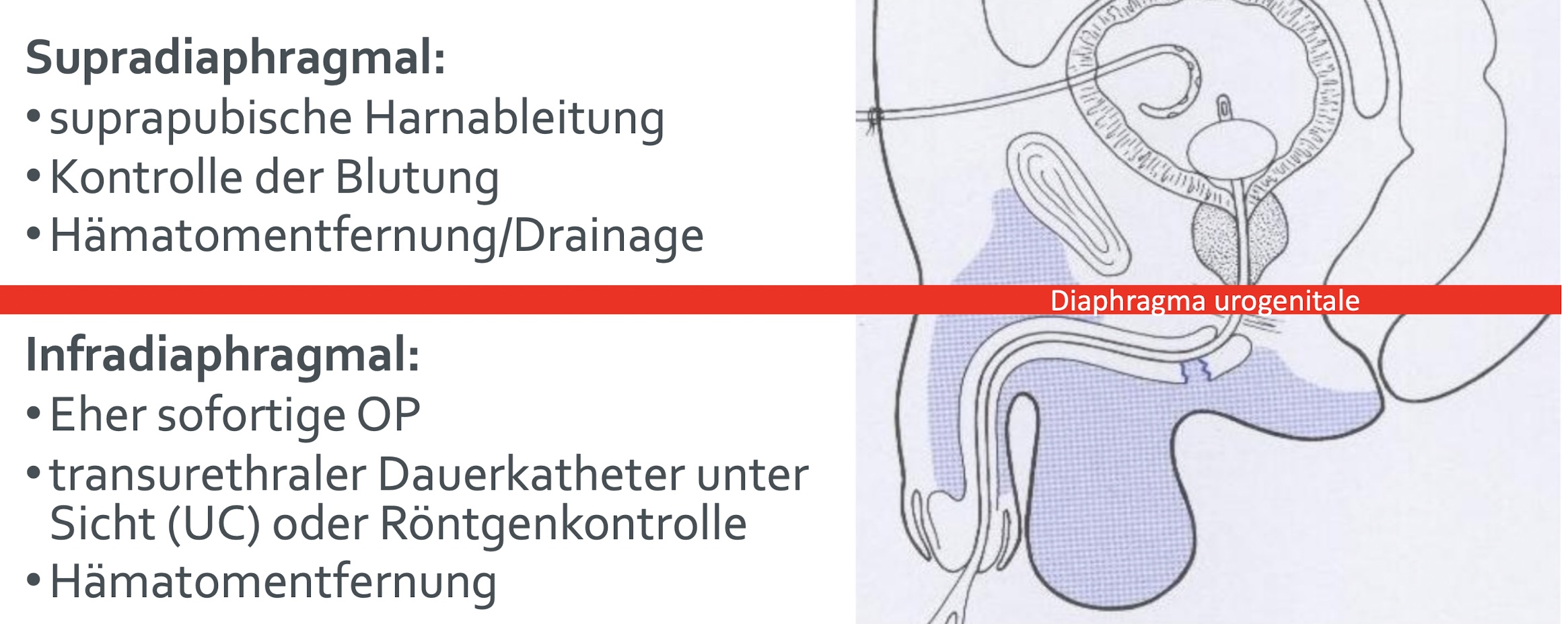 6 Urologische Notfälle V5 – Buffl, image size:2330x928