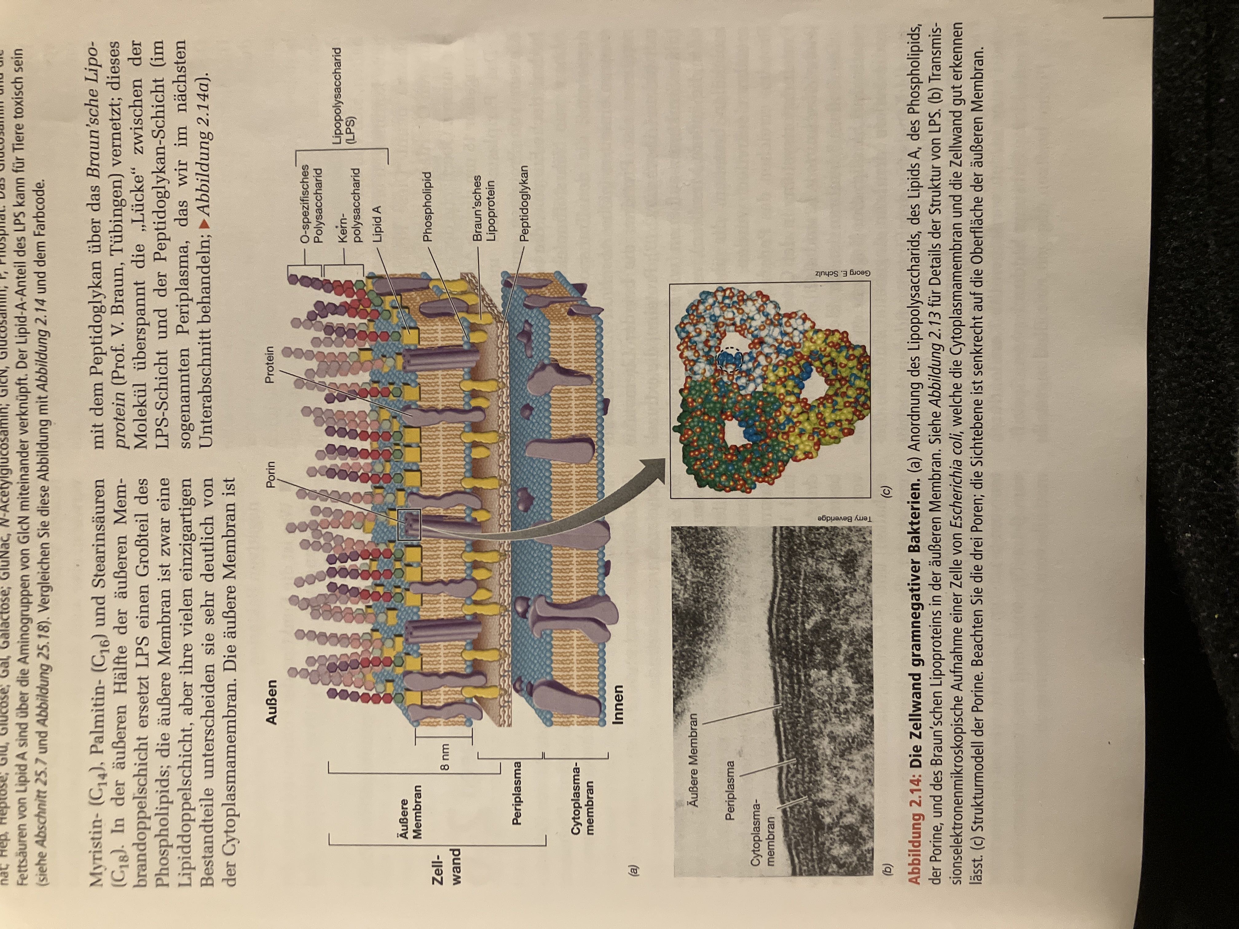 Molecular biology notes - Etsy België, image size:3024x4032