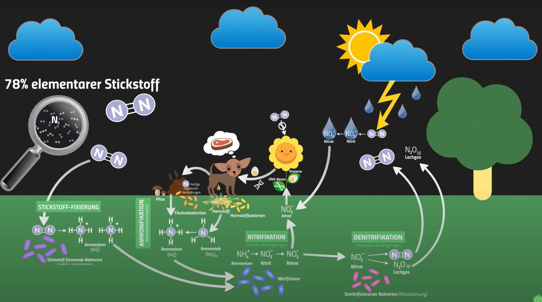 Monitoring von Wasser- und Stickstoffflüssen in Trockenregionen Österreichs  zur Entwicklung einer grundwasserschonenden Landwirtschaft |  Österreichische Wasser- und Abfallwirtschaft, image size:1852x1033