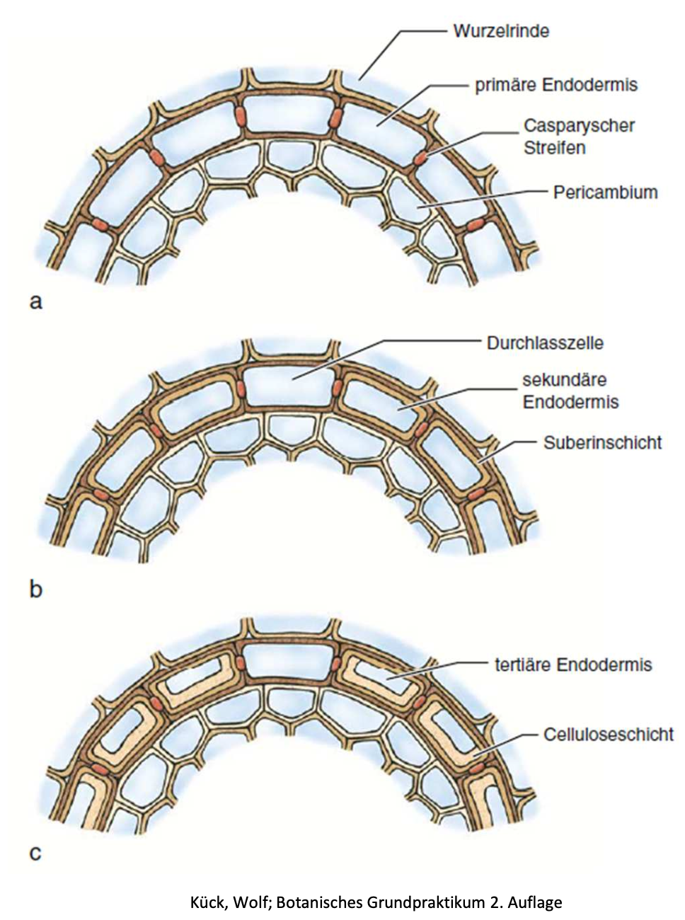 PPT - Ziele des Kurses PowerPoint Presentation, free download - ID:901506, image size:968x1300