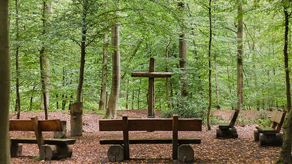 Andachtsplatz im FriedWald Lohmar