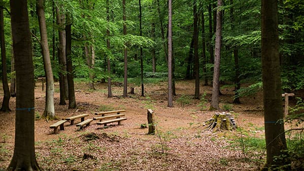 Andachtsplatz im FriedWald Bernau bei Berlin