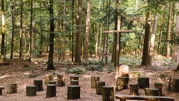 Andachtsplatz im FriedWald Buxteheide