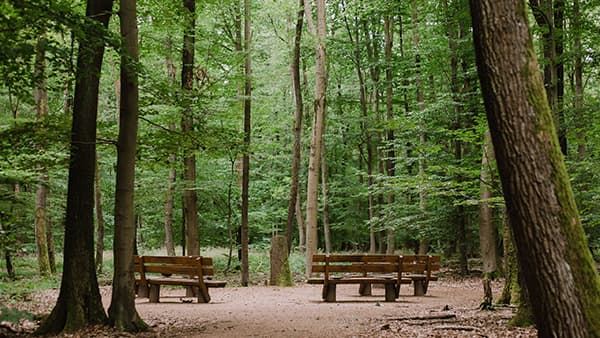Andachtsplatz im FriedWald Dietzenbach