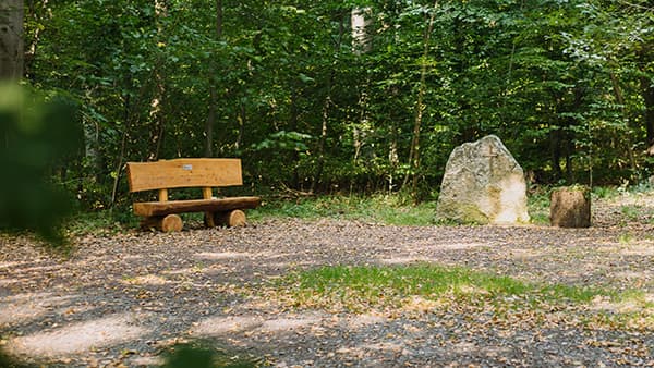 Andachtsplatz im FriedWald Elm