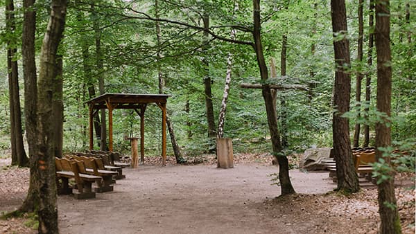 Andachtsplatz im FriedWald Kirchheimbolanden