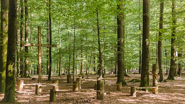 Andachtsplatz im FriedWald Kisdorf