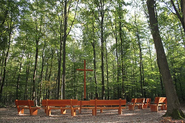Andachtsplatz im FriedWald Meroder Wald