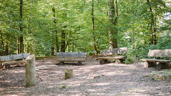 Andachtsplatz im FriedWald Möhnesee