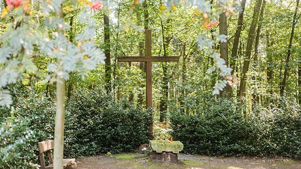 Andachtsplatz im FriedWald Münsterland