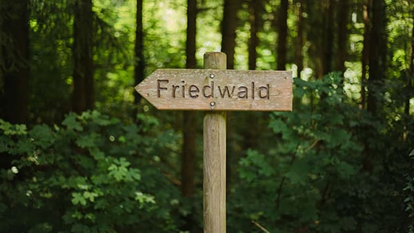 Wegweiser im FriedWald Schwaigern