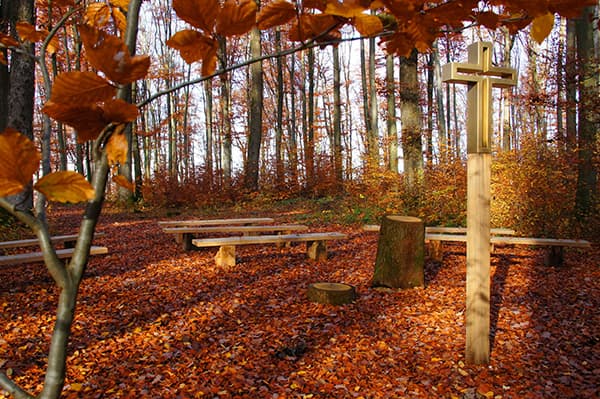 Andachtsplatz im FriedWald Wangen