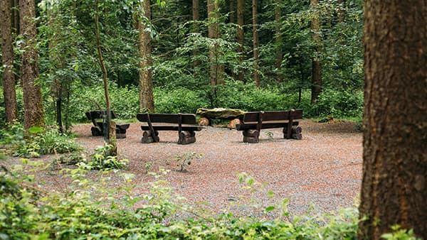 Andachtsplatz im FriedWald Weilrod