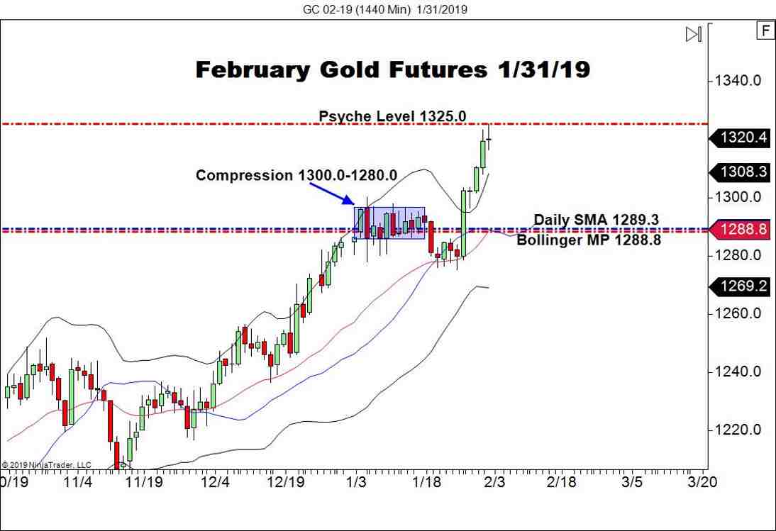  February Gold Futures (GC), Daily Chart