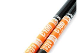 Gaastra GA Masts 100 RDM 2026