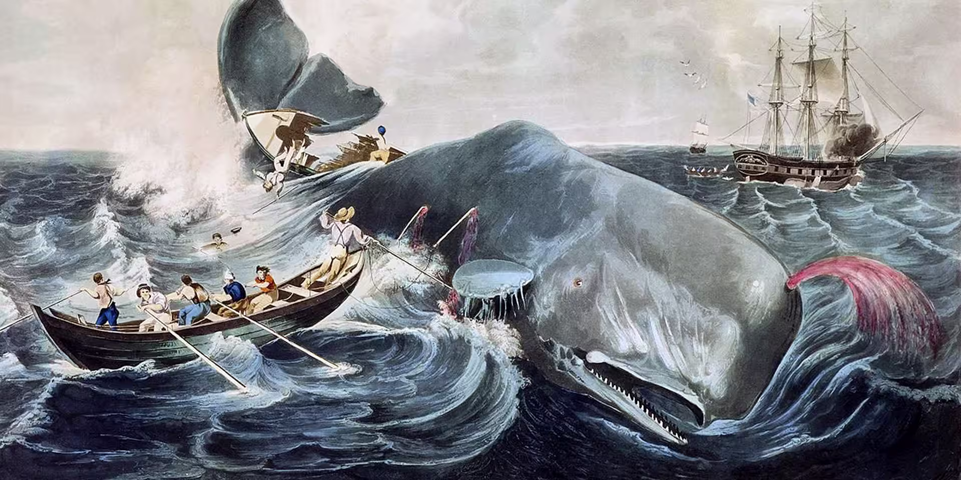 Bild till evenamnget Klassikerprat #1: Moby Dick av Herman Melville (1819-1891)