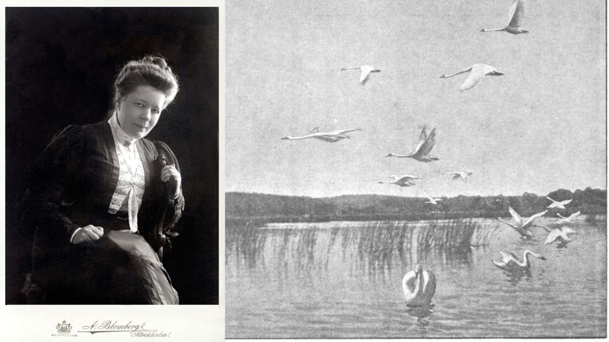 Föreläsning: Nils och Selma