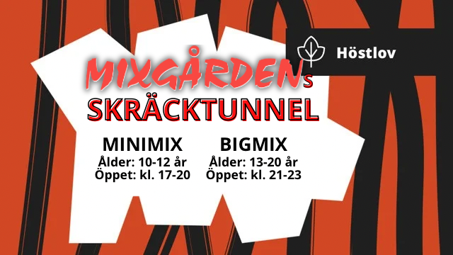 Inläggsbild