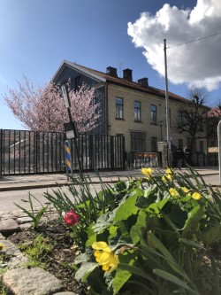 Bild till evenamnget Påsklovsprogram Stenhuset ÅK 4-6