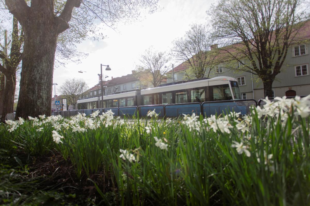 Inför valet: Klimatet - från snack till verkstad?
