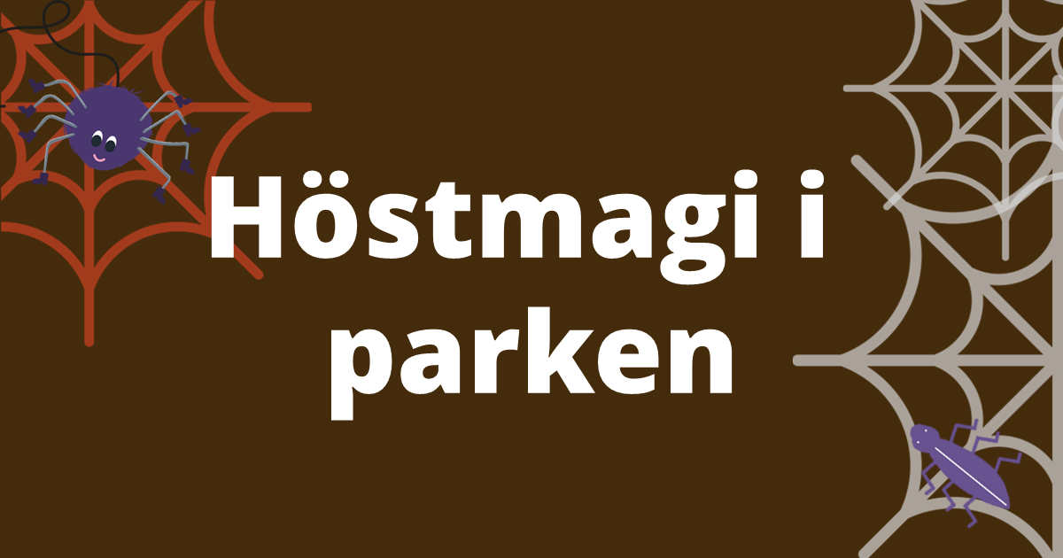 Inläggsbild