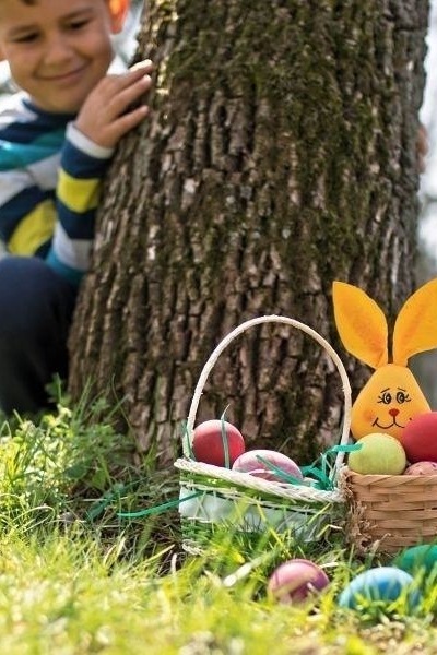 KUNOS KIDS CLUB - The hunt for the Easter eggs begins! 🥚✨ - The Easter egg hunt in the eagle's nest 🐣