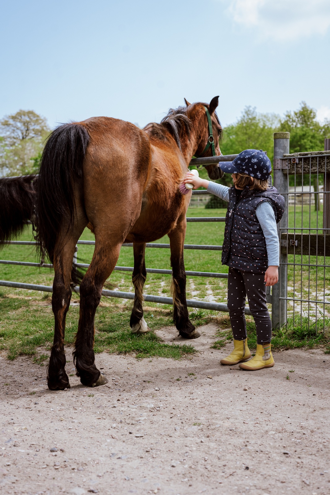 Juniorponyflitzer mit Mini Ausritt
