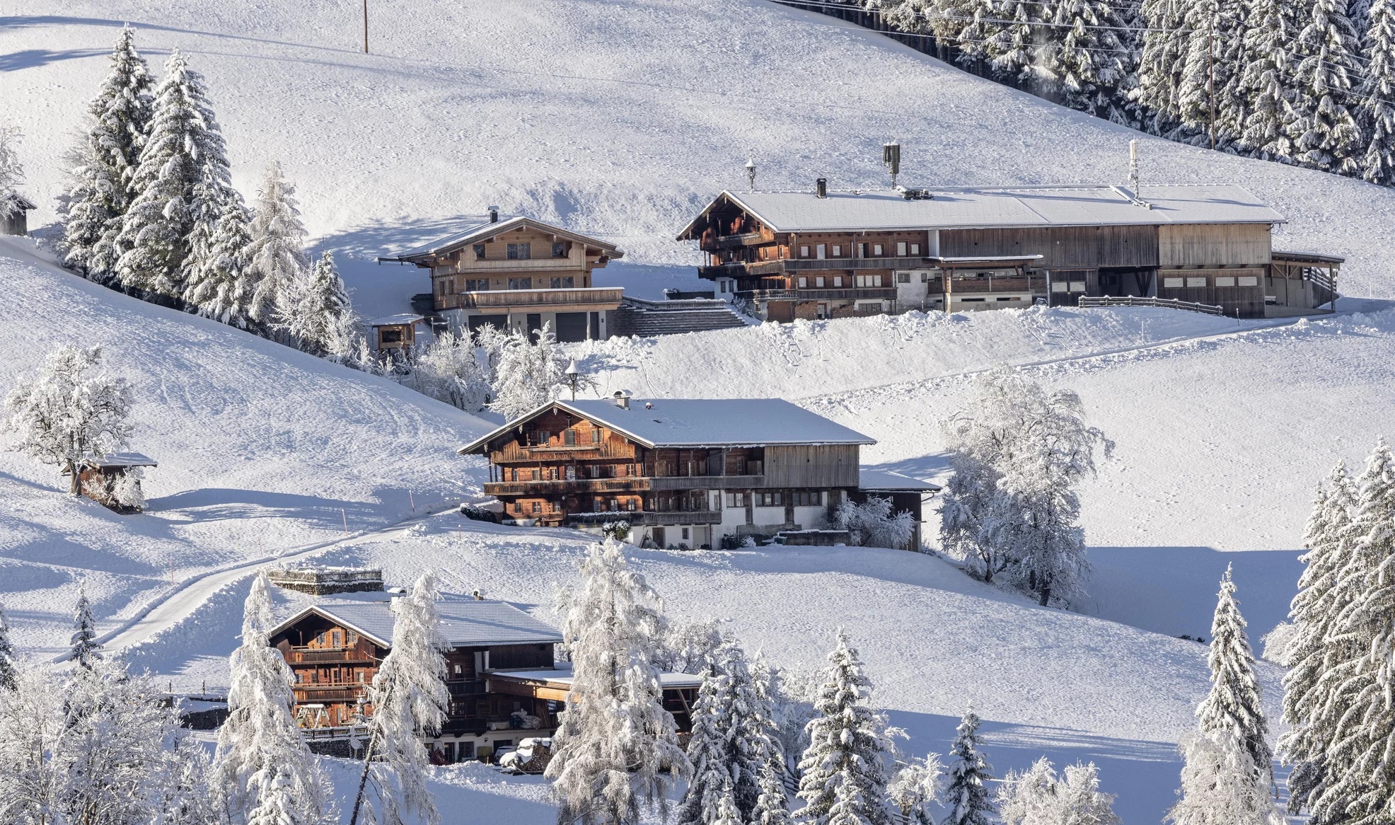 Wintergenuss Wanderung in Alpbach