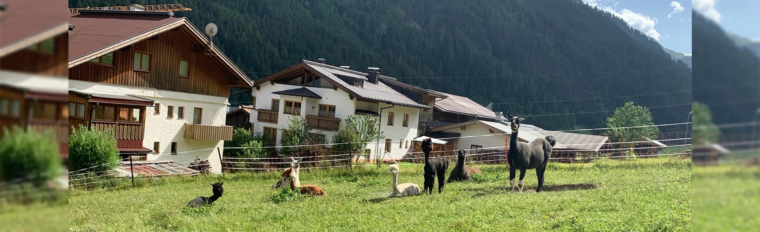 Guided Lampaka walk
