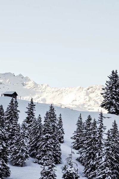 Geführte Rangertour  - Wintererlebnis Hollersbachtal