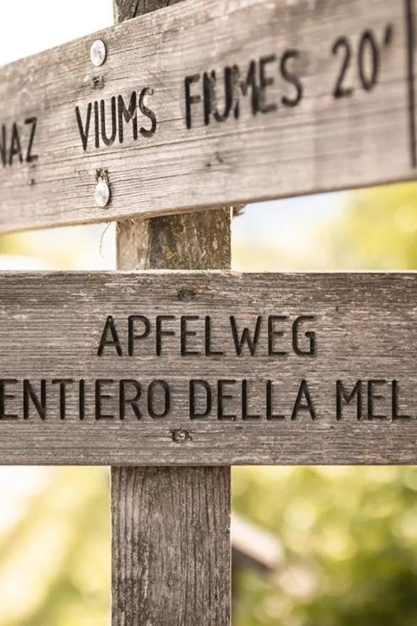 Il sentiero delle mele: vivere la mela da vicino