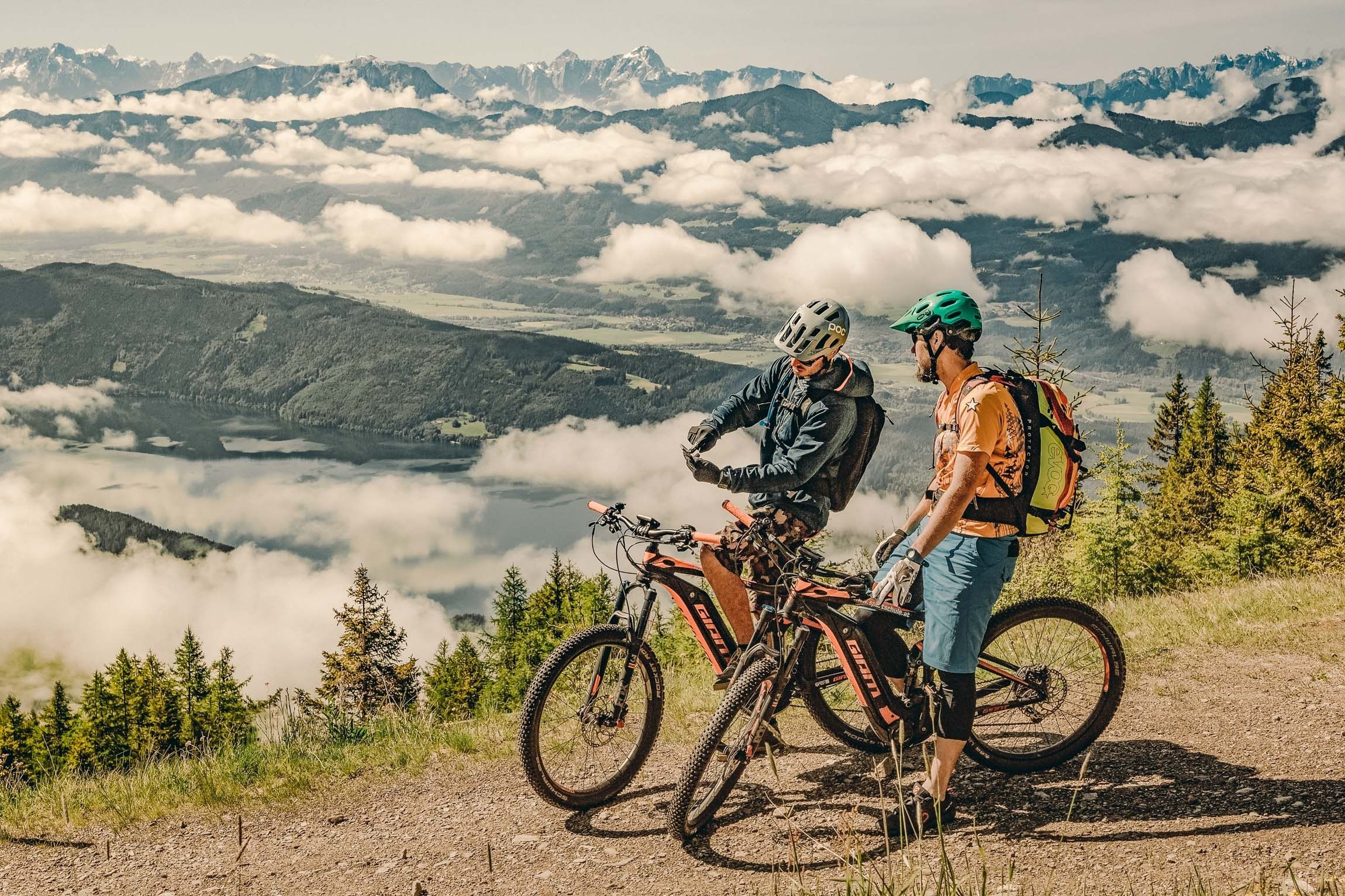 Rental bike