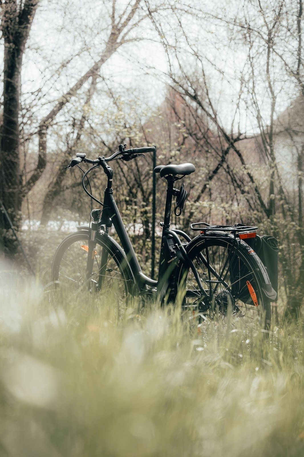 E-bike rental